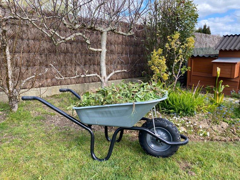 Quel pulvérisateur de jardin efficace choisir pour désherber ?