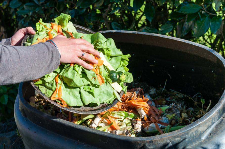  Bacs à compost : Maison et Cuisine