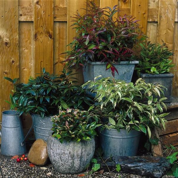 Protection Pots de Jardin, froid et chaleur