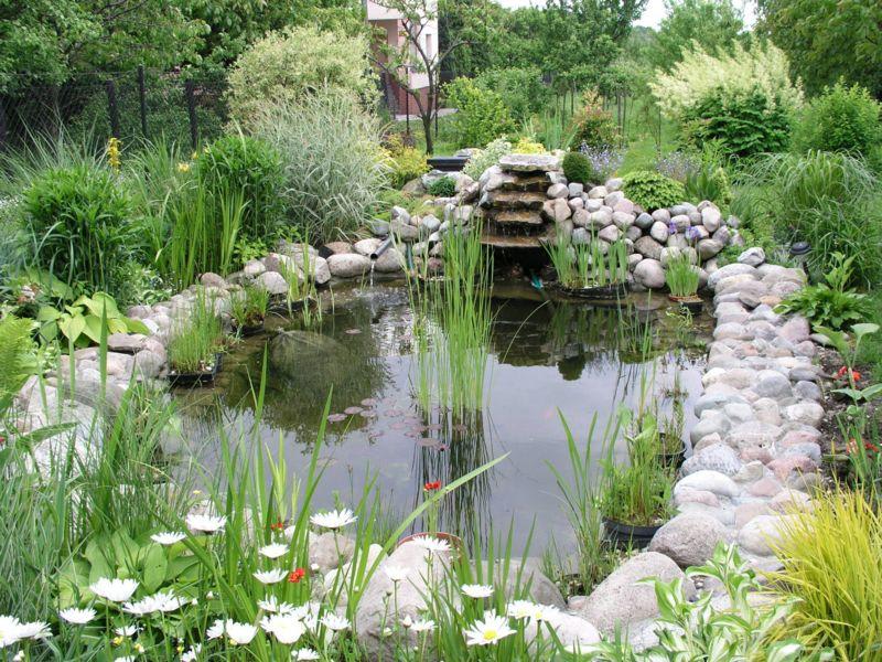 Bassin préformé 1000 L : Création de bassin de jardin OASE jardin - botanic®