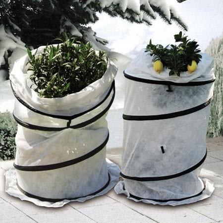 Hivernage : protéger vos plantes en hiver - Gamm vert