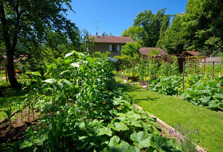Faire un jardin: 7 conseils pratiques pour bien débuter!