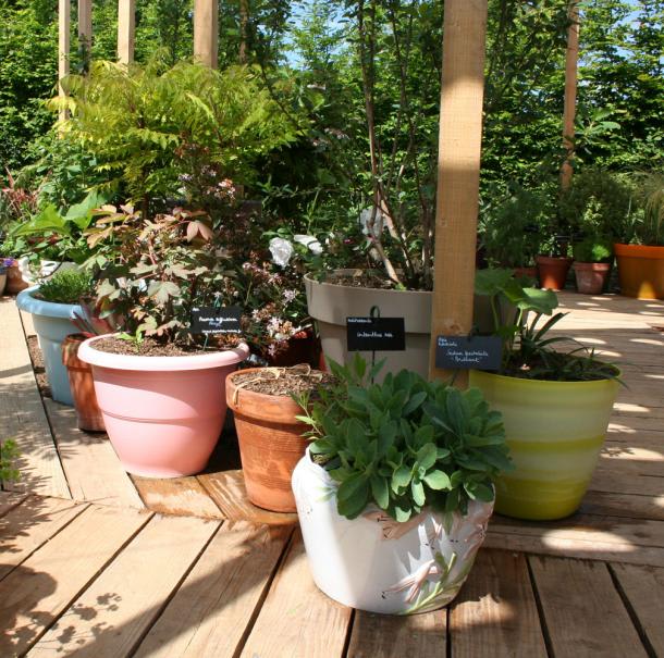 Décor saisonnier, créez un jardin de pots - Gamm vert