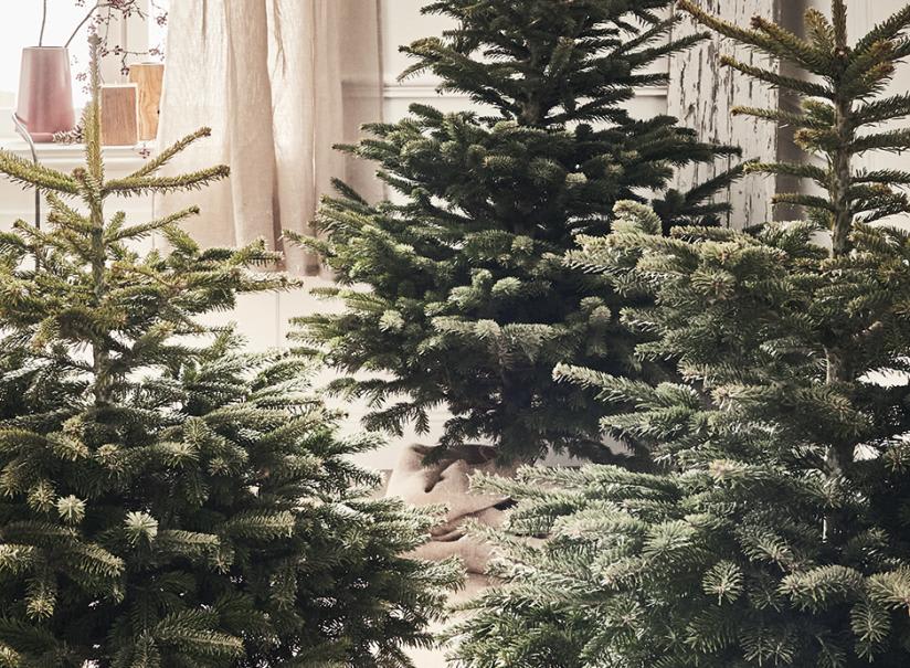 30 idées déco de Noël naturelle pour son extérieur - Jardiland