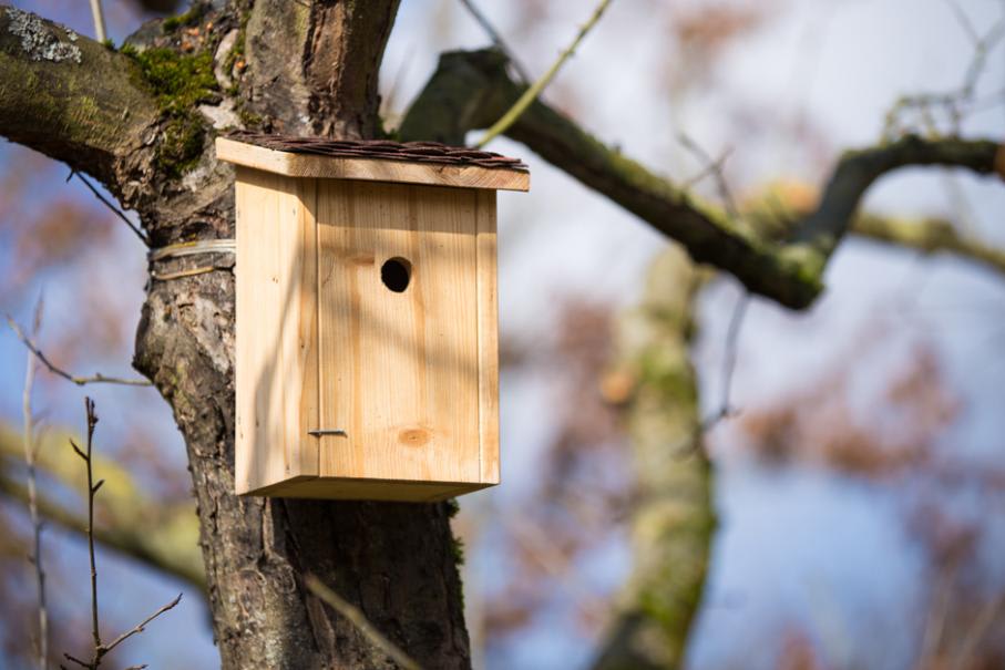 Petite Maison D'oiseau En Bois Accroché à Une Branche D'arbre à  L'extérieur.