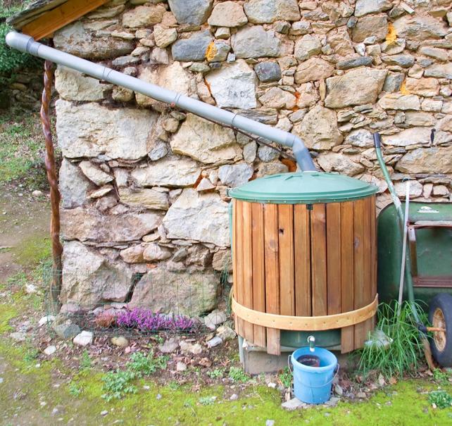 Comment choisir un récupérateur d'eau de pluie ? - Jardiland
