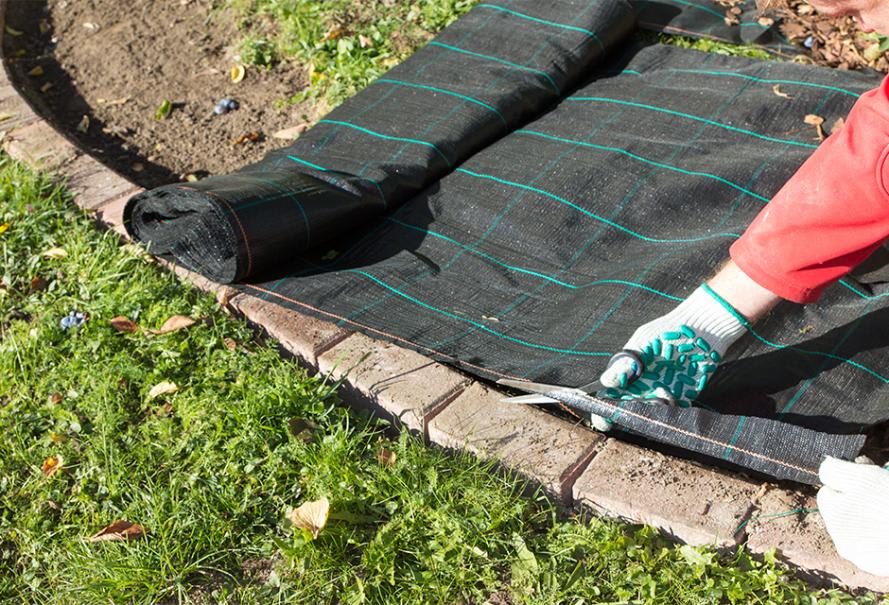 Utiliser une bâche noire pour désherber et préparer le sol