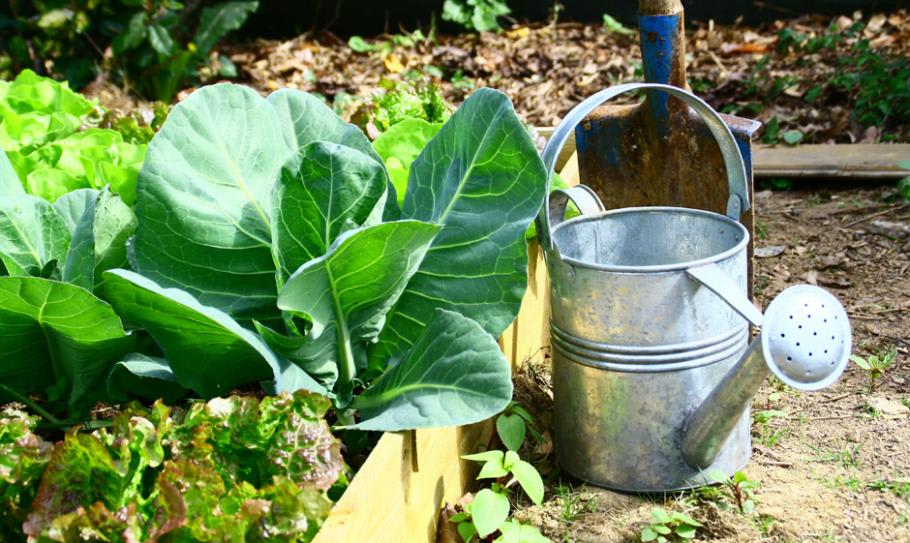 Bac potagers – Fleurs & Compost