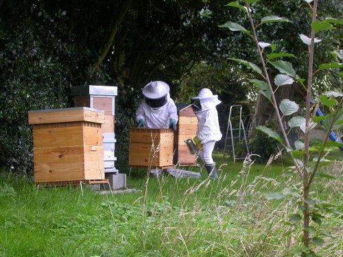 Des ruches dans mon jardin - Gamm vert