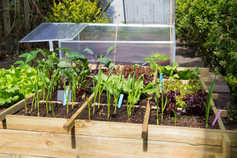Comment fabriquer une serre de jardin avec des tuyaux en pvc