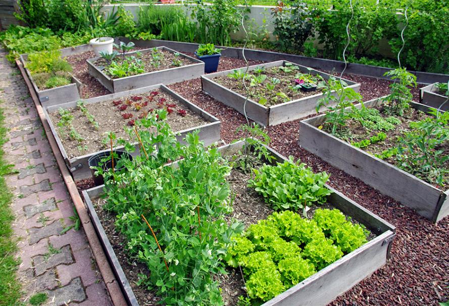 12 conseils pratiques pour un jardin bien rangé