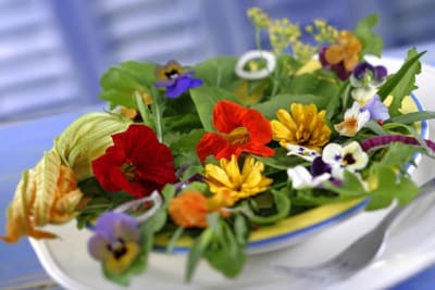 Ces 11 fleurs comestibles que vous pouvez cultiver dans votre jardin